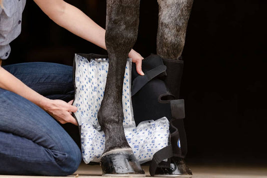 Ice Horse Suspensory/Full Tendon Wrap