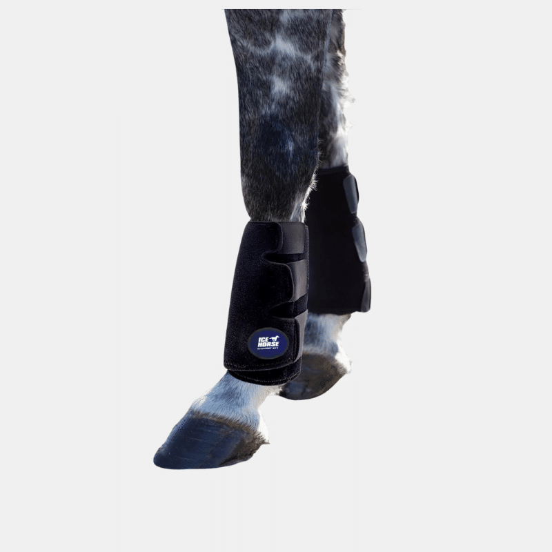 Ice Horse Tendon Wraps
