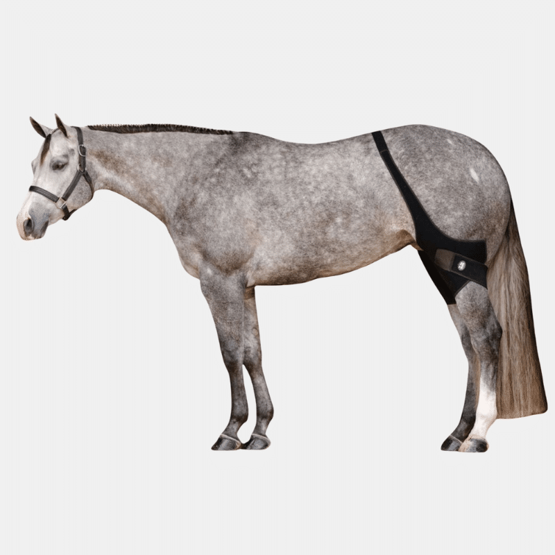 Ice Horse Stifle Wraps
