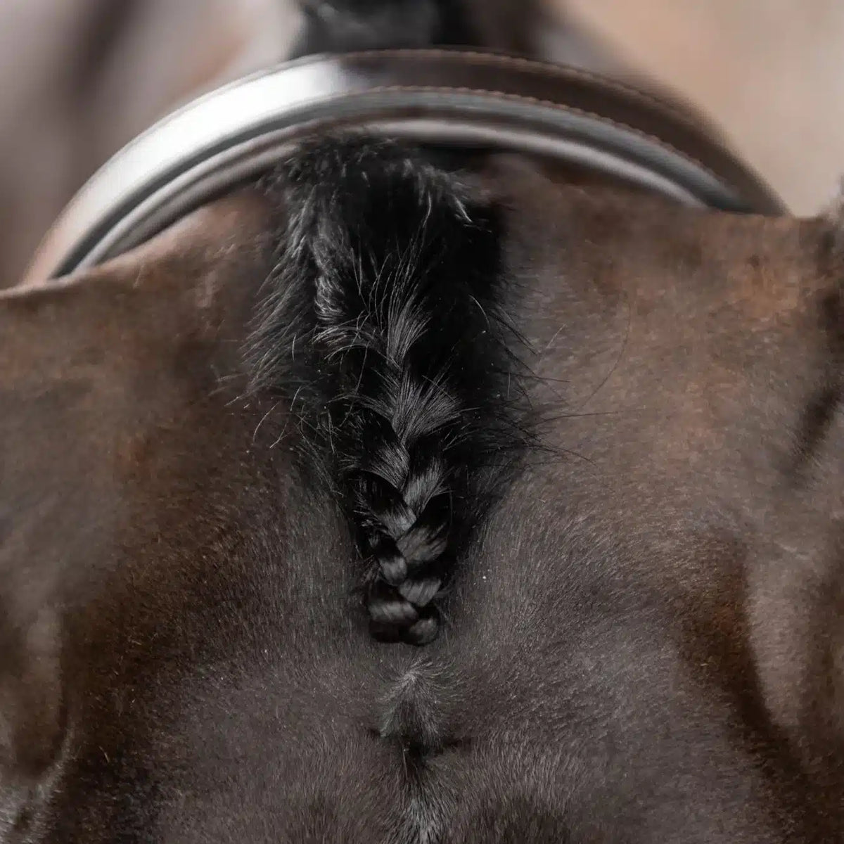 Smart Grooming Voorpluk Vlechttang