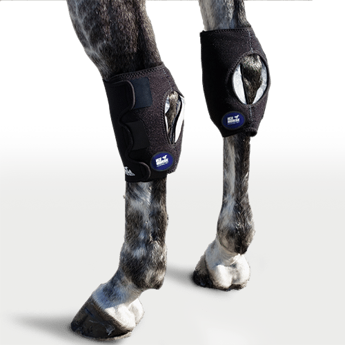 Ice Horse Hock Wrap