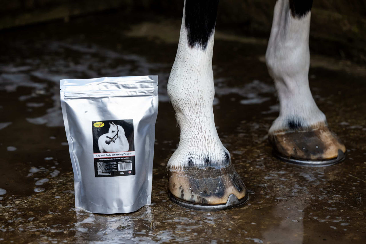 Kleigebaseerd whitening-poeder van 500 gram voor een helder wit resultaat op sokken en lichte vacht