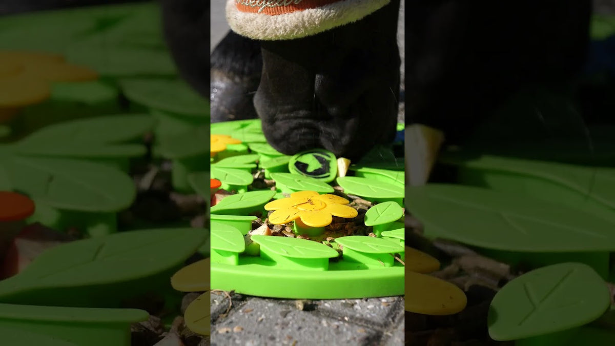 Excellent Horse Snuffle Mat Flower Power 